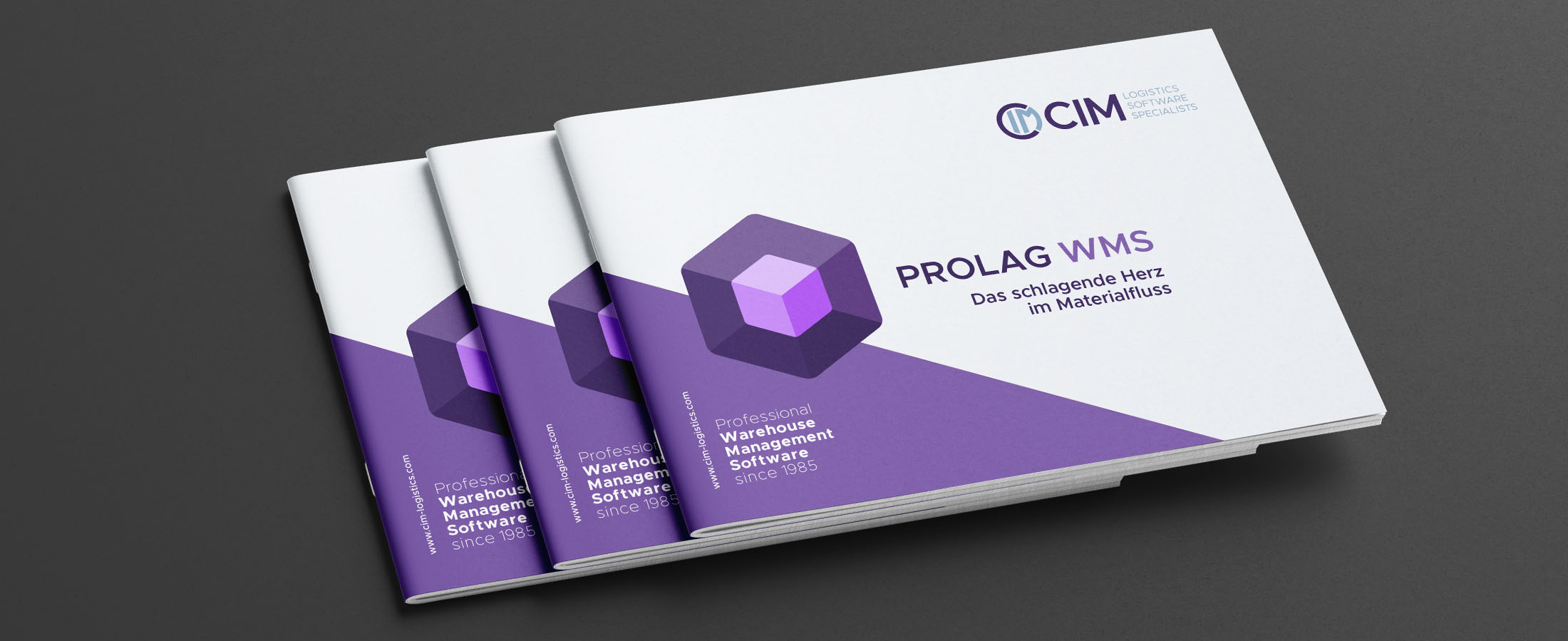 PROLAG World solutions brochure WMS