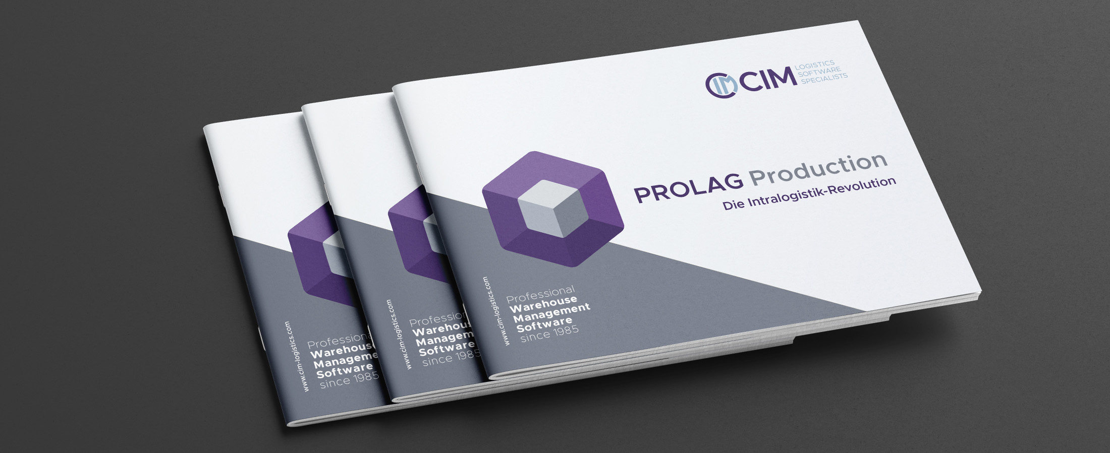 PROLAG World solutions brochure Production