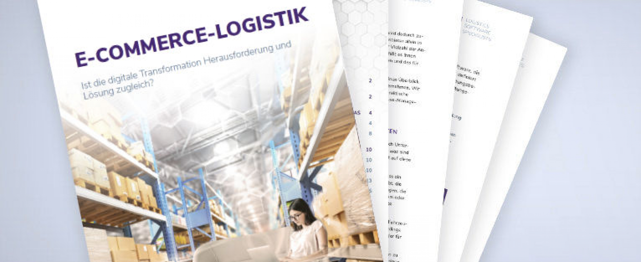 White paper - E-commerce logistics